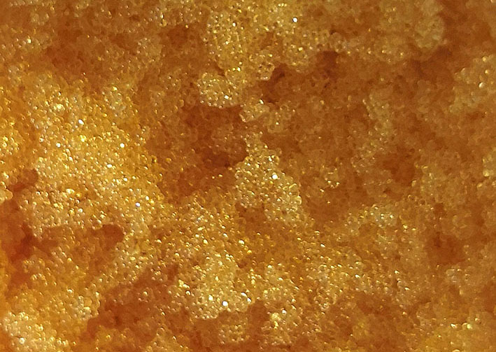 腾博tengbo9885_首页(欢迎您)